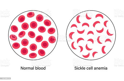 Blood Structure Concept Stock Illustration - Download Image Now ...