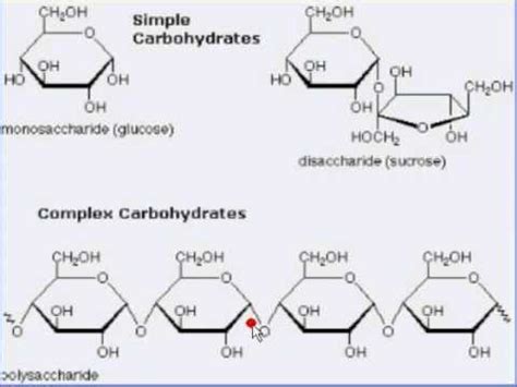 Complex Carbohydrate Structure