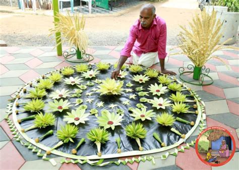 Kuruthola: the art of weaving green coconut fronds - PARI Education