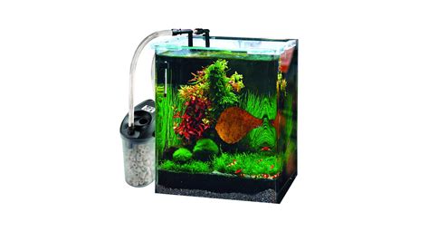 Best 5 Gallon Fish Tank Filters (Reviews & Buying Guide 2023)