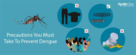 Precautions You Must Take To Prevent Dengue - Apollo Clinic Blog