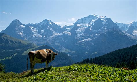 Hiking in Switzerland - The Ultimate Adventure Guide | AATW