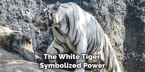 White Tiger Spiritual Meaning, Symbolism and Totem (2023)