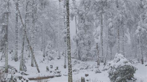 Avalanche shuts down State Highway 21 in Idaho