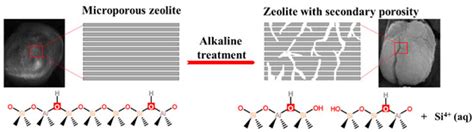 Catalysts | Free Full-Text | Hierarchical Zeolite Synthesis by Alkaline Treatment: Advantages ...