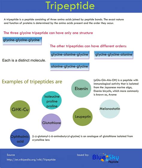 A tripeptide is a peptide consisting of three amino acids joined by ...