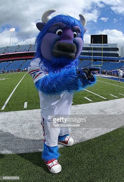 Buffalo Bills Mascot Photos and Premium High Res Pictures - Getty Images