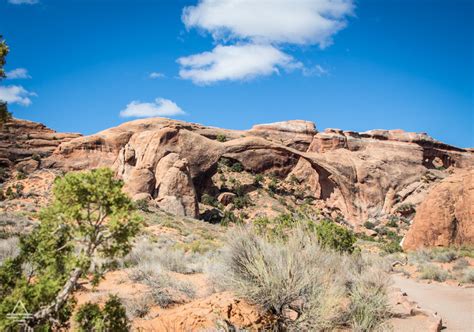 Awesome Easy Arches Hike: Landscape Arch Trail