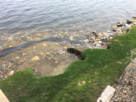 Shoreline Erosion Photos • Examples of Eroded Shorelines • Lakeshore Guys® - MN Shoreline Experts