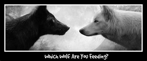 Which Wolf Are You Feeding?