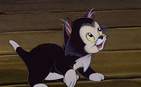 55 Disney Cats That Feline Fanatics NEED to Know!