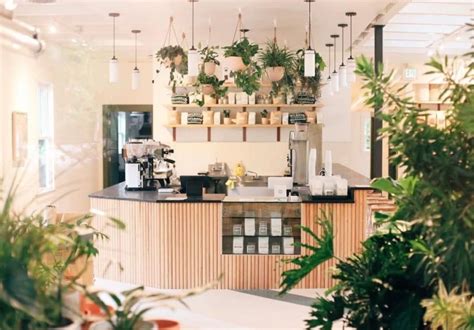 Stock Up On Plants At One Of Atlanta's Most Unique Coffeehouses - Secret Atlanta