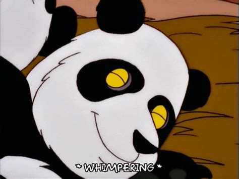 Panda Love GIFs - Find & Share on GIPHY