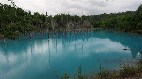 Blue Pond of Hokkaido - Natural Reflection - XciteFun.net