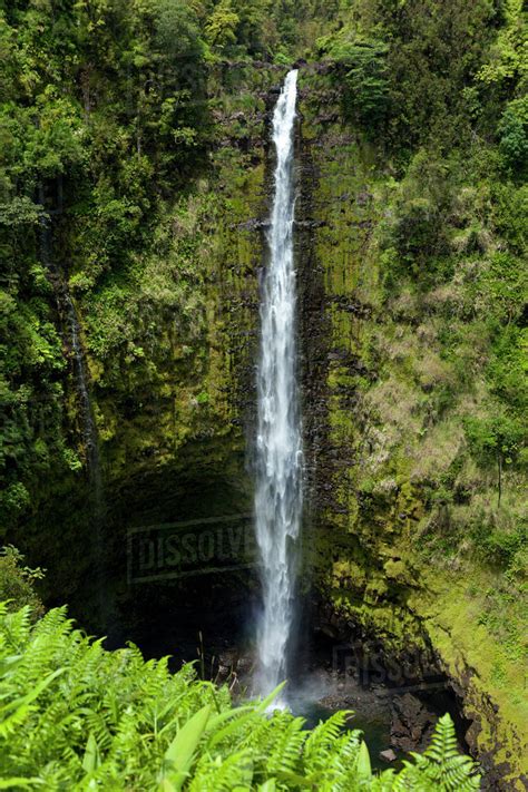 Akaka Falls; Big Island, Hawaii, United States of America - Stock Photo - Dissolve