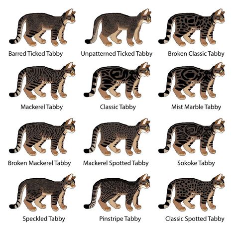 Non-Hybridized Tabby Patterns Chart - (Wild)cat by MrBig2 on DeviantArt | Warrior cat drawings ...