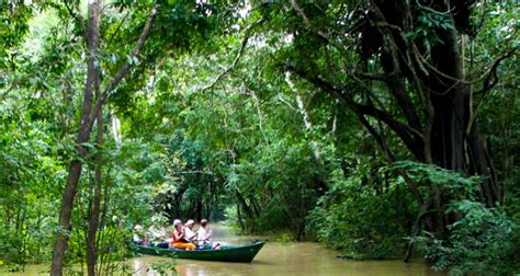 Desafio Brazil Amazon River Cruise | Manaus River Cruise Tour