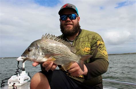 How to Catch Bream on Lures – Tackle Tactics