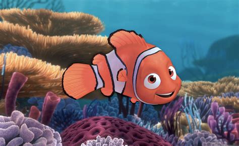 Finding Nemo Fish Types