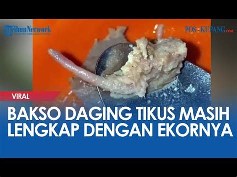 Bakso Daging Tikus Masih Lengkap Dengan Ekornya - YouTube