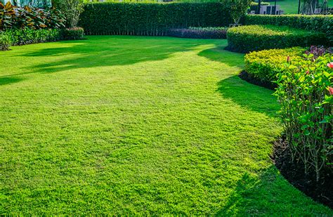 Lawn Brown Spots Causes - A+ Lawn & Landscaping