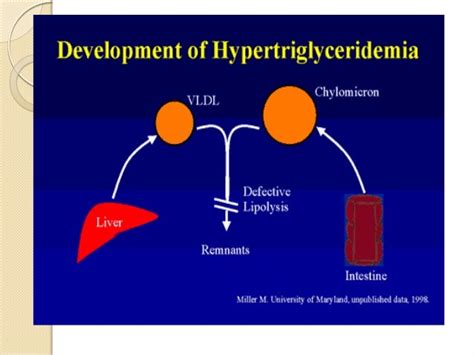 Hypertriglyceridemia