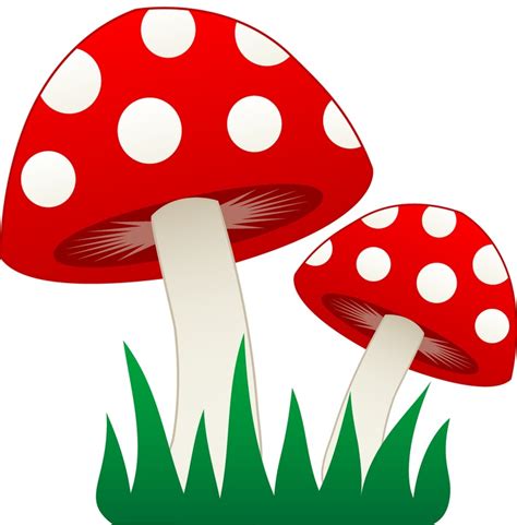 Free Toadstool Clipart, Download Free Toadstool Clipart png images, Free ClipArts on Clipart Library