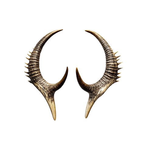 Animal horns iisolated on transparent background, created with ...