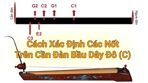 Tổng hợp 21+ bài viết: cách làm đàn bầu vừa cập nhật - lagroup.edu.vn