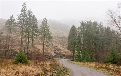 Gougane Barra Forest Park: Hiking Ireland