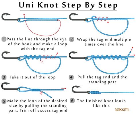 Tying a Uni Knot: Instructions and Diagram