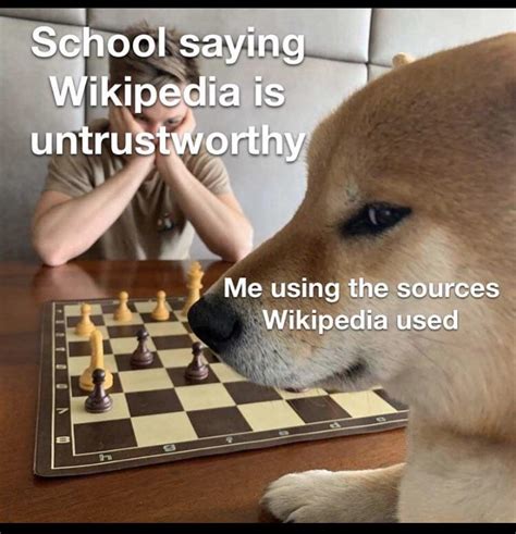 Kid and dog playing chess : r/MemeTemplatesOfficial