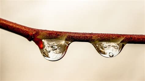 How to Photograph Water Droplets with Reflection