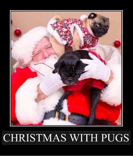 115 best PUG CHRISTMAS CARDS images on Pinterest | Doggies, Pug ...