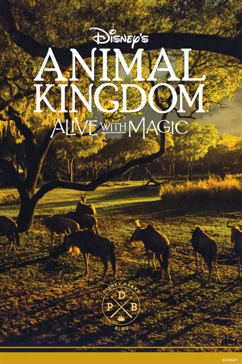 Disney’s Animal Kingdom ‘Nighttime’-Inspired Wallpaper – Mobile ...