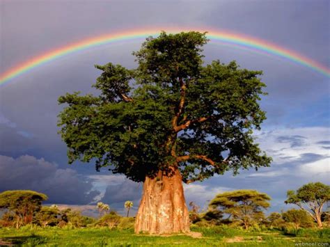 Best Rainbow Photography 2