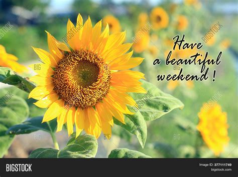 Have Beautiful Weekend Image & Photo (Free Trial) | Bigstock