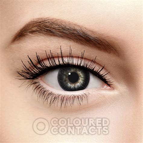 Black Circle Daily Contact Lenses (10 Pack) | Colored Contacts