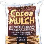 Cocoa Mulch Toxicity in Dogs | River Road Veterinary Clinic