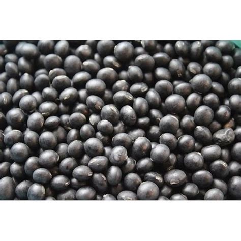 Black Soybean - Wholesale Price & Mandi Rate for Black Soybean