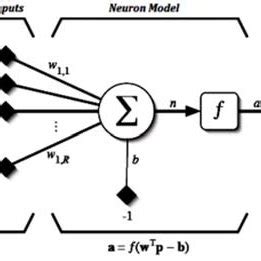 Artificial neuron model | Download Scientific Diagram