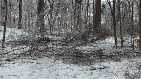 Ice Storm Toronto 2013