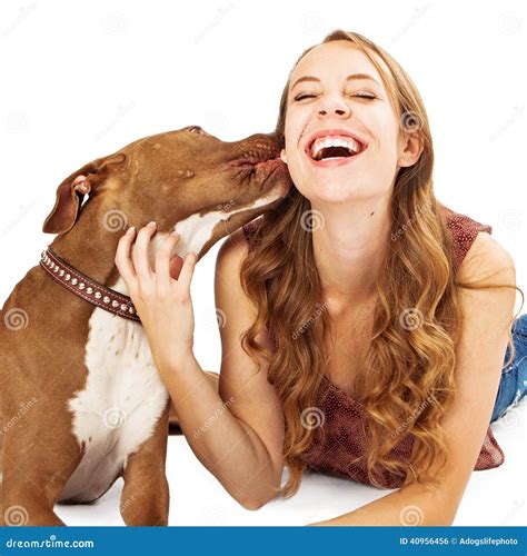 Bull Elk 'kissing' In Jasper National Park Stock Photography ...