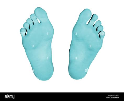 Feet isolated on a white background, blue feet Stock Photo - Alamy