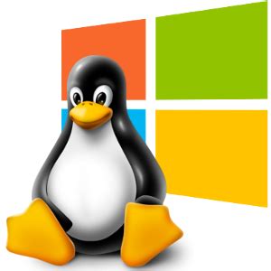 Linux Hosting or Windows Hosting?