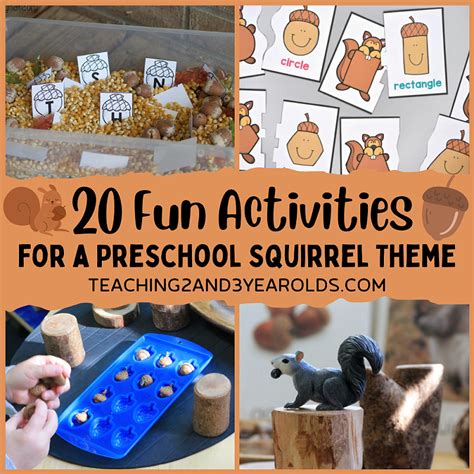 Fun Activities for a Preschool Squirrel Theme