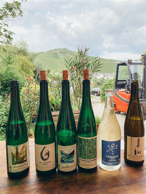 4 Must Visit Wineries in the Mosel Valley (Moselle Valley) of Germany ...