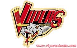 Vipers hockey Logos