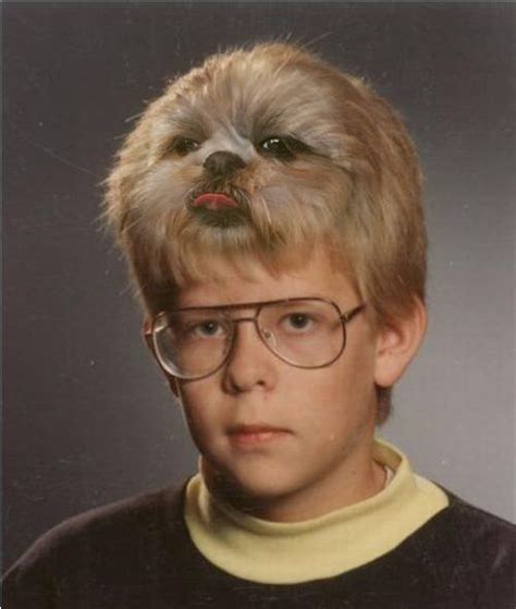 Now this is a portrait! | Weird haircuts, Funny pictures, Hair humor