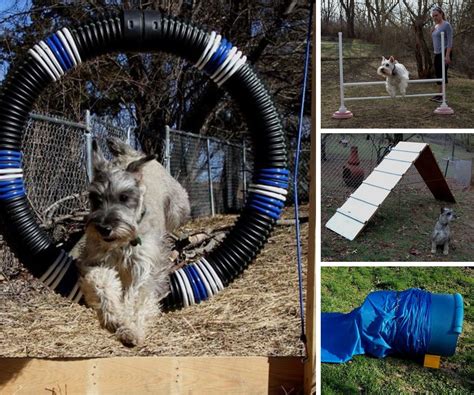 Dog Agility Obstacles - Instructables